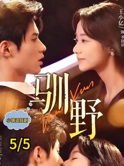无声证词 刑侦剧全集免费看
